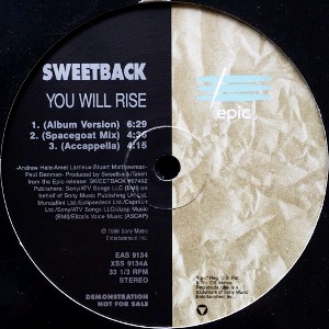 SWEETBACK - YOU WILL RISE (PROMO)